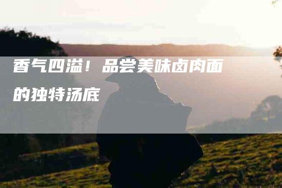 香气四溢！品尝美味卤肉面的独特汤底-住家保姆月嫂服务_家政保洁钟点工家政服务_速上门月嫂网首页
