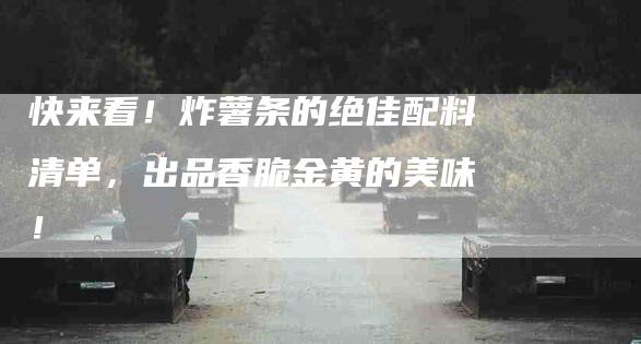 快来看！炸薯条的绝佳配料清单，出品香脆金黄的美味！