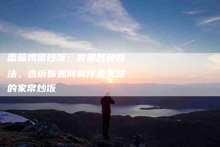 番茄鸡蛋炒饭：尝遍各种做法，告诉你如何制作最美味的家常炒饭-住家保姆月嫂服务_家政保洁钟点工家政服务_速上门月嫂网首页