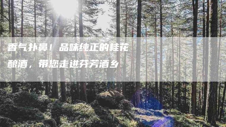 香气扑鼻！品味纯正的桂花酿酒，带您走进芬芳酒乡-住家保姆月嫂服务_家政保洁钟点工家政服务_速上门月嫂网首页