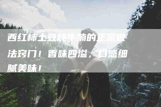 西红柿土豆炖牛腩的正宗做法窍门！香味四溢，口感细腻美味！