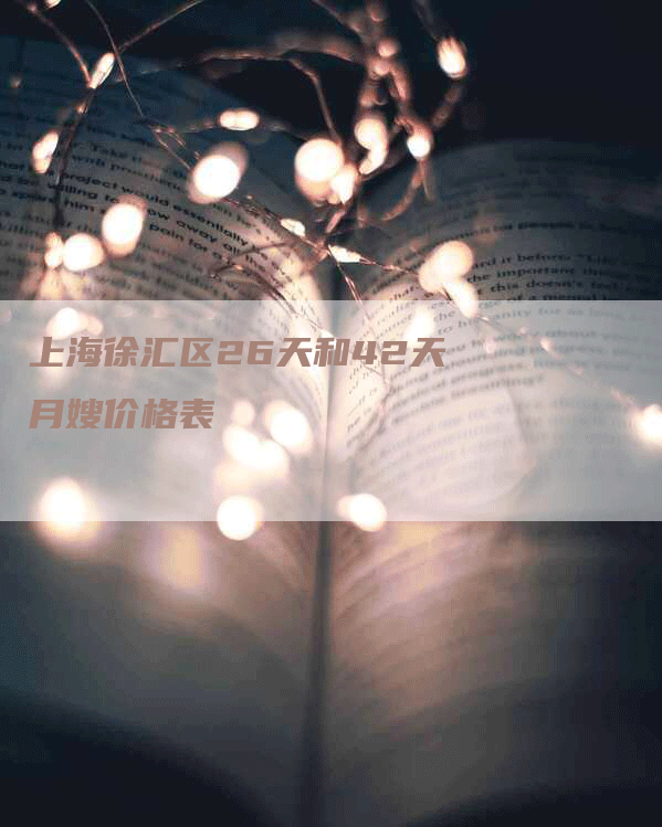 上海徐汇区26天和42天月嫂价格表