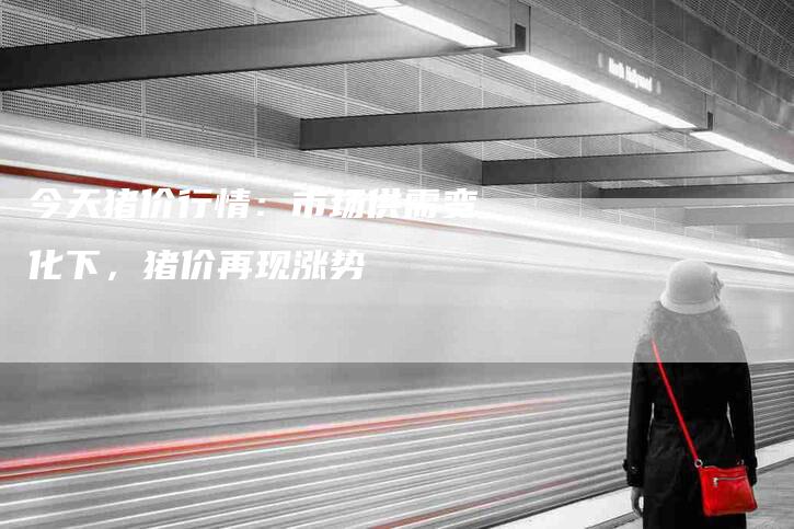 今天猪价行情：市场供需变化下，猪价再现涨势-住家保姆月嫂服务_家政保洁钟点工家政服务_速上门月嫂网首页