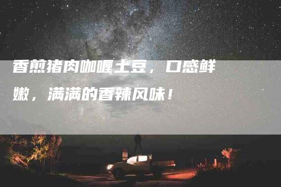 香煎猪肉咖喱土豆，口感鲜嫩，满满的香辣风味！-住家保姆月嫂服务_家政保洁钟点工家政服务_速上门月嫂网首页