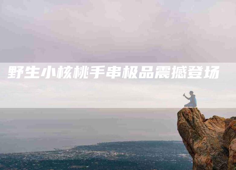 野生小核桃手串极品震撼登场-住家保姆月嫂服务_家政保洁钟点工家政服务_速上门月嫂网首页