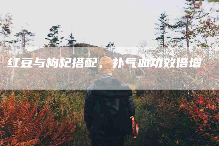 红豆与枸杞搭配，补气血功效倍增-住家保姆月嫂服务_家政保洁钟点工家政服务_速上门月嫂网首页