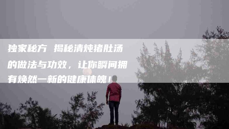 独家秘方 揭秘清炖猪肚汤的做法与功效，让你瞬间拥有焕然一新的健康体魄！