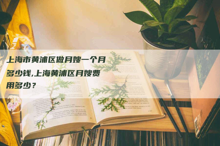 上海市黄浦区做月嫂一个月多少钱,上海黄浦区月嫂费用多少？