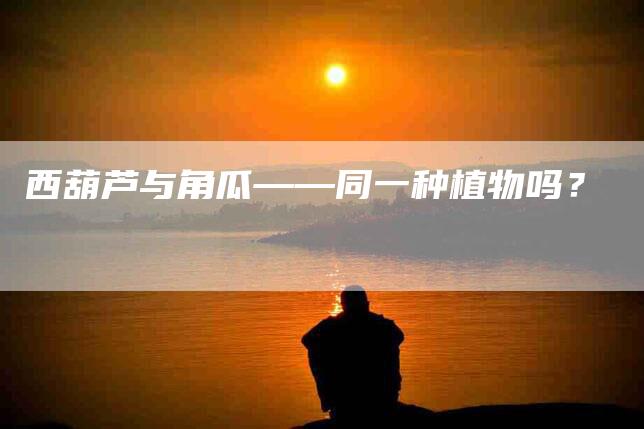 西葫芦与角瓜——同一种植物吗？-住家保姆月嫂服务_家政保洁钟点工家政服务_速上门月嫂网首页