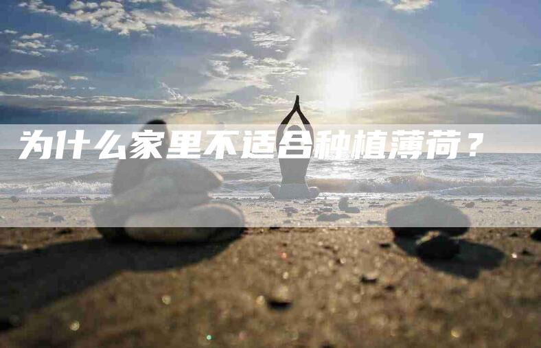 为什么家里不适合种植薄荷？-住家保姆月嫂服务_家政保洁钟点工家政服务_速上门月嫂网首页