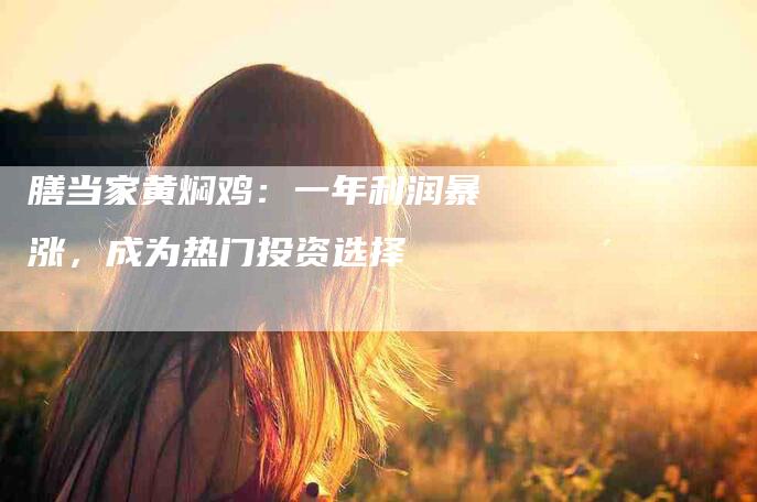 膳当家黄焖鸡：一年利润暴涨，成为热门投资选择