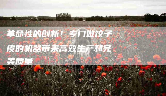 革命性的创新！专门做饺子皮的机器带来高效生产和完美质量