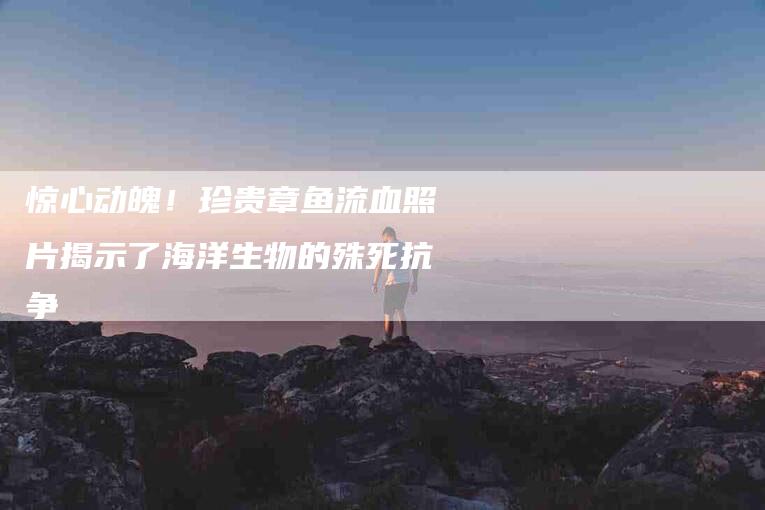 惊心动魄！珍贵章鱼流血照片揭示了海洋生物的殊死抗争