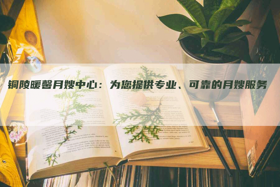 铜陵暖馨月嫂中心：为您提供专业、可靠的月嫂服务