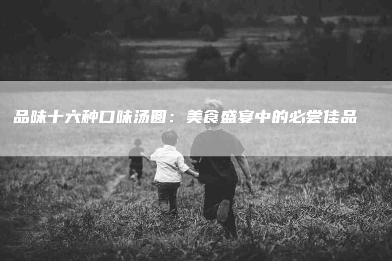 品味十六种口味汤圆：美食盛宴中的必尝佳品-住家保姆月嫂服务_家政保洁钟点工家政服务_速上门月嫂网首页