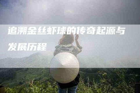 追溯金丝虾球的传奇起源与发展历程-住家保姆月嫂服务_家政保洁钟点工家政服务_速上门月嫂网首页