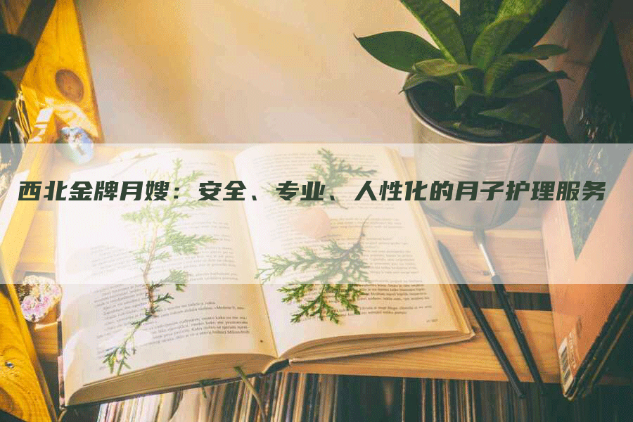 西北金牌月嫂：安全、专业、人性化的月子护理服务-住家保姆月嫂服务_家政保洁钟点工家政服务_速上门月嫂网首页