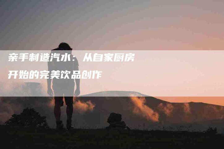 亲手制造汽水：从自家厨房开始的完美饮品创作-住家保姆月嫂服务_家政保洁钟点工家政服务_速上门月嫂网首页