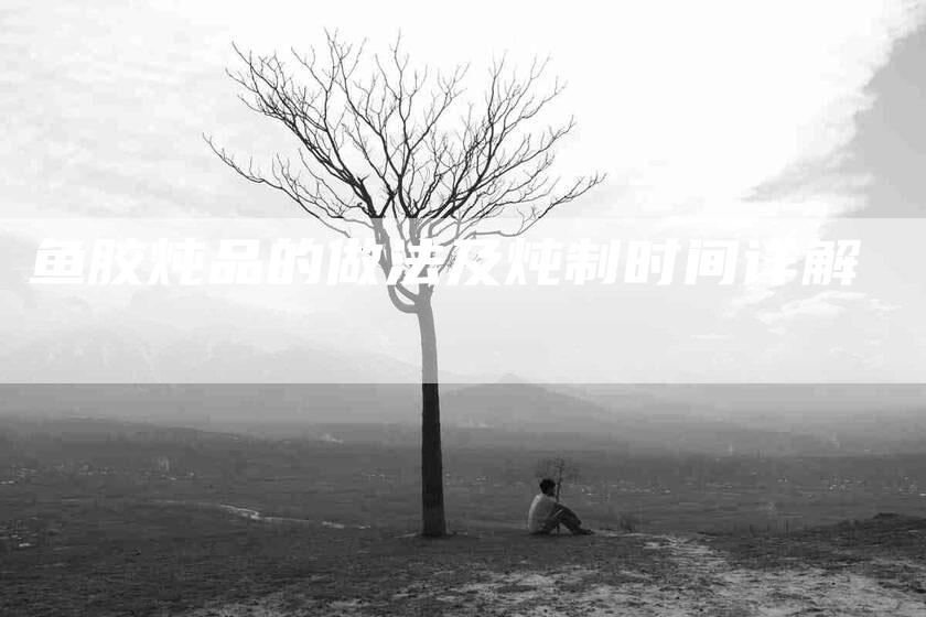 鱼胶炖品的做法及炖制时间详解-住家保姆月嫂服务_家政保洁钟点工家政服务_速上门月嫂网首页
