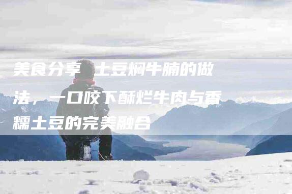 美食分享 土豆焖牛腩的做法，一口咬下酥烂牛肉与香糯土豆的完美融合