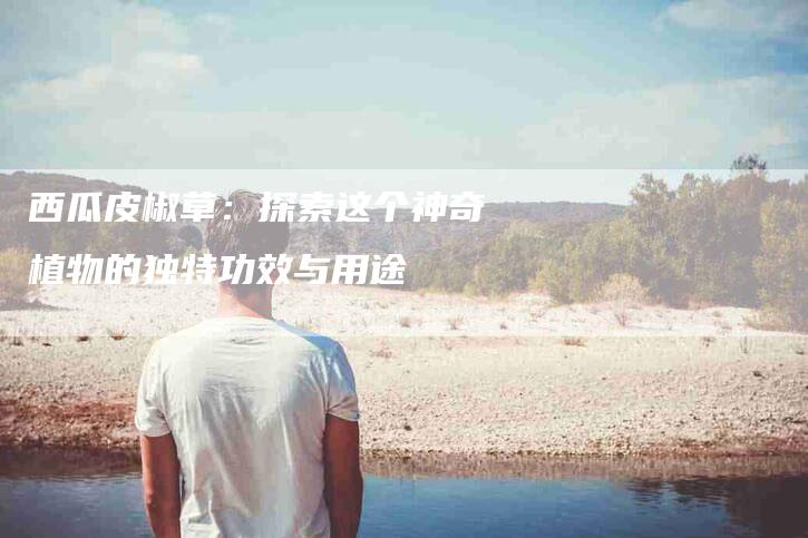 西瓜皮椒草：探索这个神奇植物的独特功效与用途-住家保姆月嫂服务_家政保洁钟点工家政服务_速上门月嫂网首页