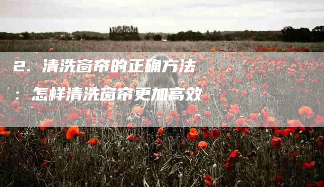 2. 清洗窗帘的正确方法：怎样清洗窗帘更加高效