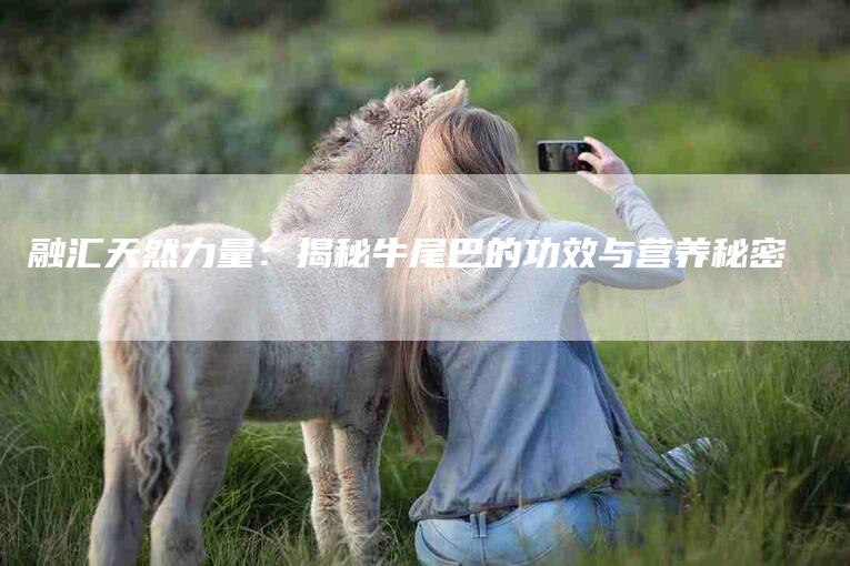 融汇天然力量：揭秘牛尾巴的功效与营养秘密-住家保姆月嫂服务_家政保洁钟点工家政服务_速上门月嫂网首页