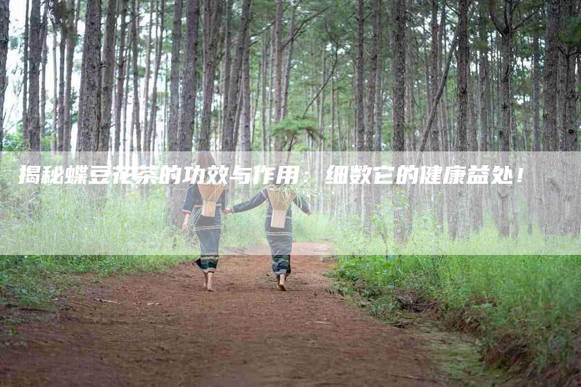 揭秘蝶豆花茶的功效与作用：细数它的健康益处！