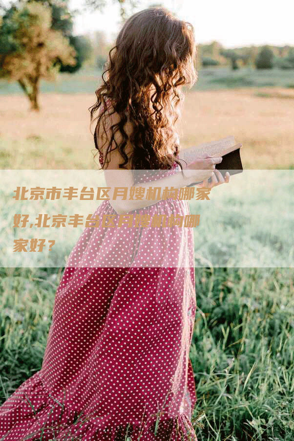 北京市丰台区月嫂机构哪家好,北京丰台区月嫂机构哪家好？-住家保姆月嫂服务_家政保洁钟点工家政服务_速上门月嫂网首页