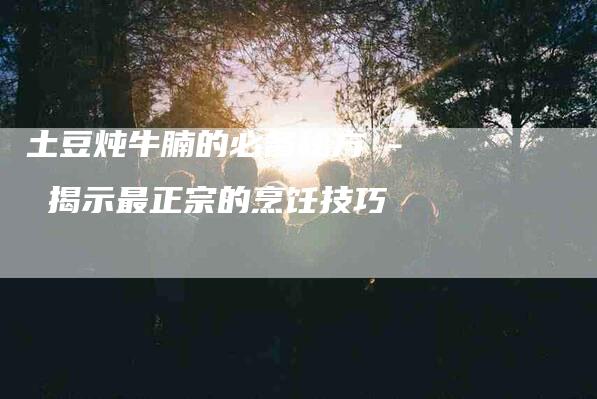 土豆炖牛腩的必备秘方 - 揭示最正宗的烹饪技巧