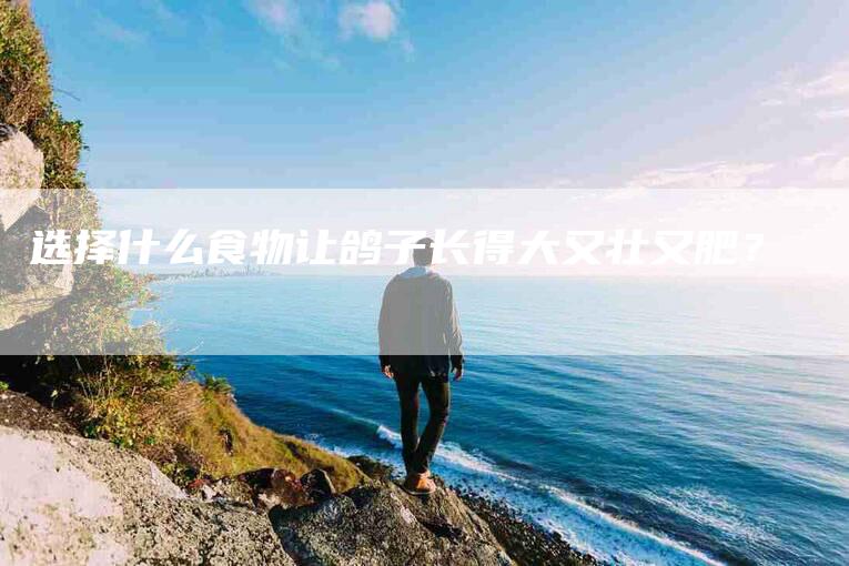 选择什么食物让鸽子长得大又壮又肥？-住家保姆月嫂服务_家政保洁钟点工家政服务_速上门月嫂网首页