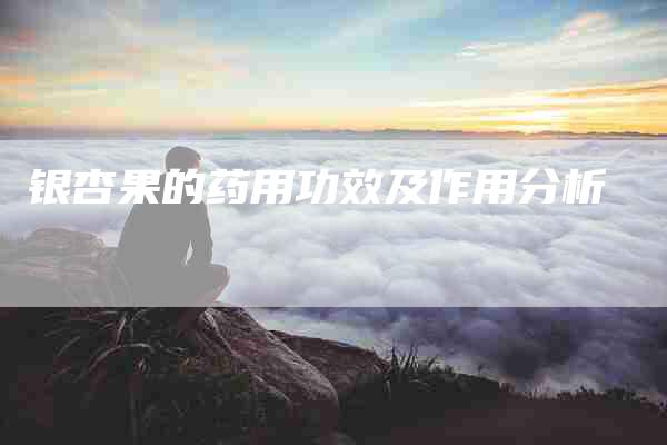 银杏果的药用功效及作用分析-住家保姆月嫂服务_家政保洁钟点工家政服务_速上门月嫂网首页