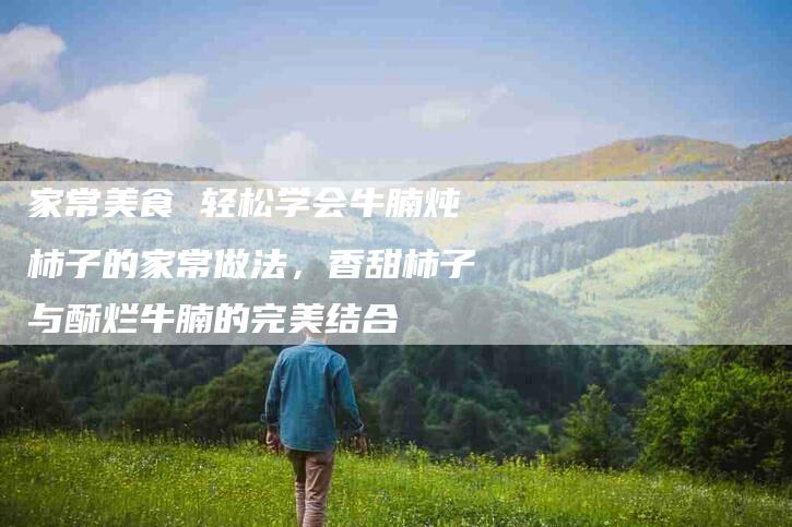 家常美食 轻松学会牛腩炖柿子的家常做法，香甜柿子与酥烂牛腩的完美结合
