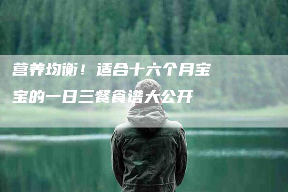 营养均衡！适合十六个月宝宝的一日三餐食谱大公开