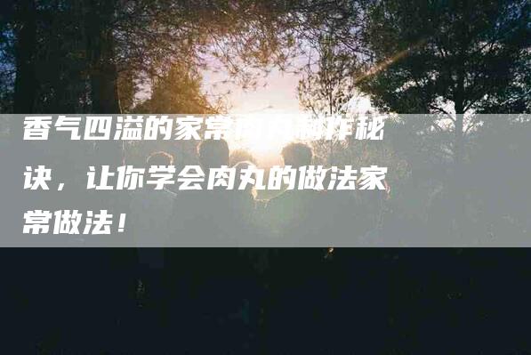 香气四溢的家常肉丸制作秘诀，让你学会肉丸的做法家常做法！