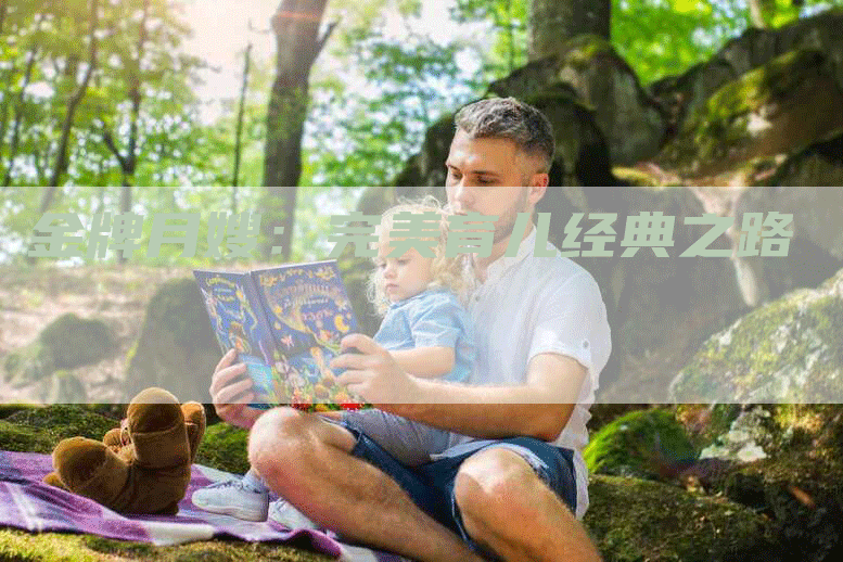金牌月嫂：完美育儿经典之路
