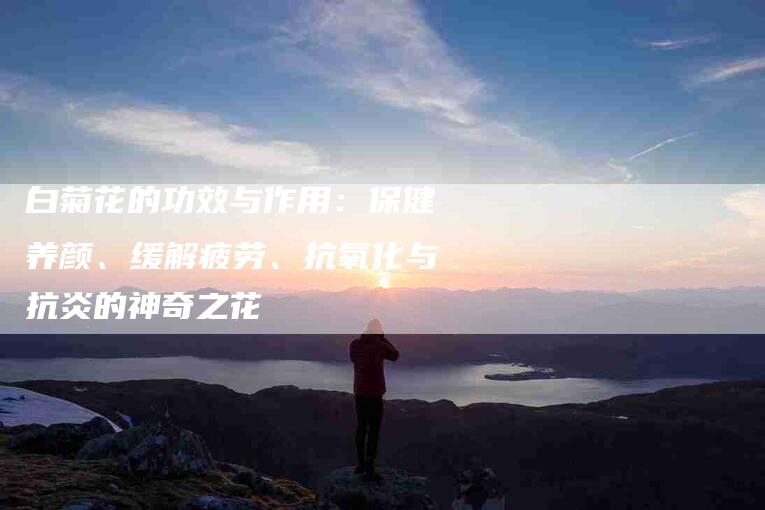 白菊花的功效与作用：保健养颜、缓解疲劳、抗氧化与抗炎的神奇之花