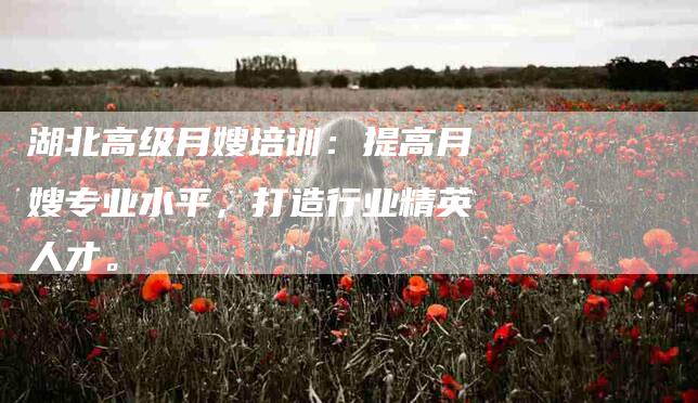 湖北高级月嫂培训：提高月嫂专业水平，打造行业精英人才。