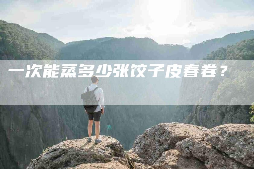 一次能蒸多少张饺子皮春卷？-住家保姆月嫂服务_家政保洁钟点工家政服务_速上门月嫂网首页