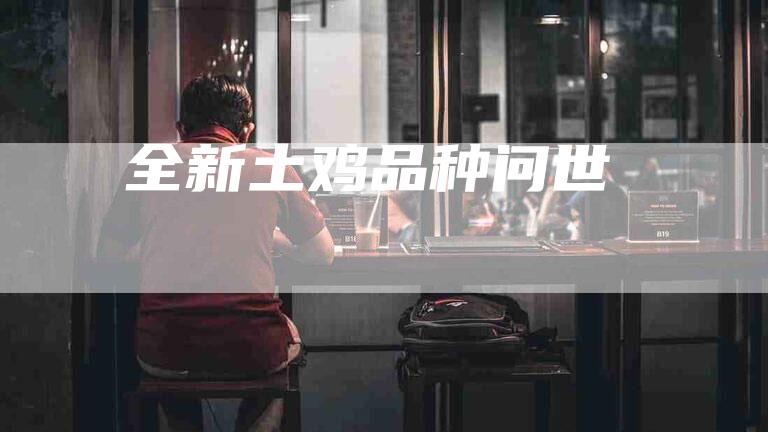 全新土鸡品种问世