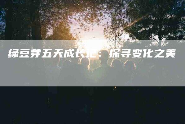 绿豆芽五天成长记：探寻变化之美