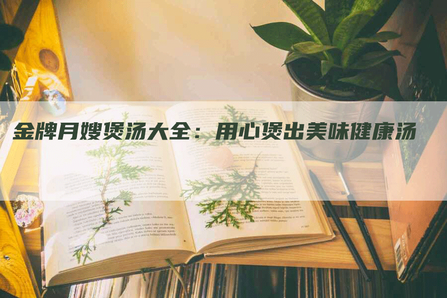 金牌月嫂煲汤大全：用心煲出美味健康汤