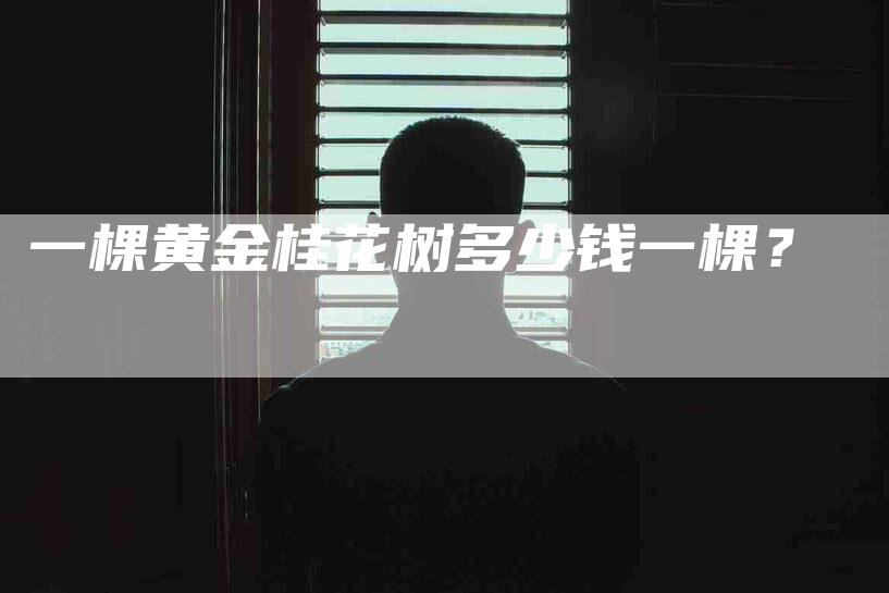 一棵黄金桂花树多少钱一棵？-住家保姆月嫂服务_家政保洁钟点工家政服务_速上门月嫂网首页