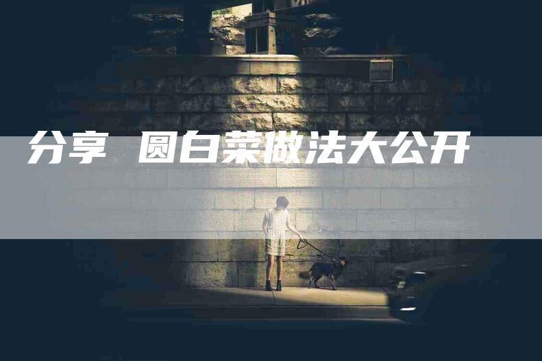 分享 圆白菜做法大公开