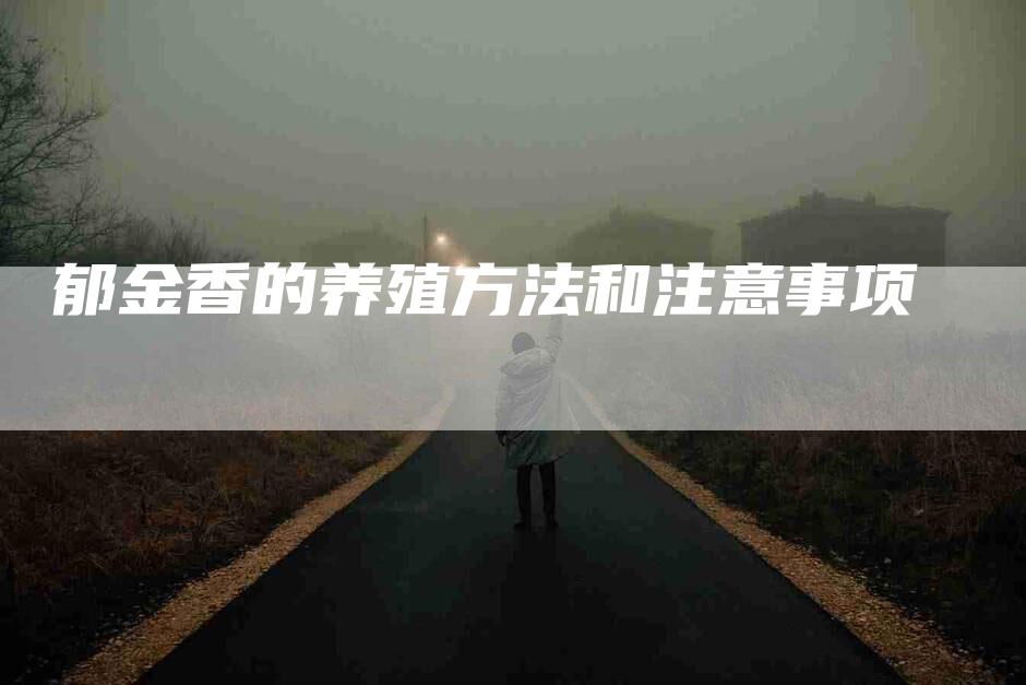 郁金香的养殖方法和注意事项-住家保姆月嫂服务_家政保洁钟点工家政服务_速上门月嫂网首页