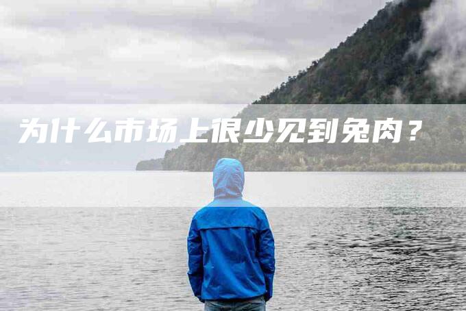 为什么市场上很少见到兔肉？-住家保姆月嫂服务_家政保洁钟点工家政服务_速上门月嫂网首页