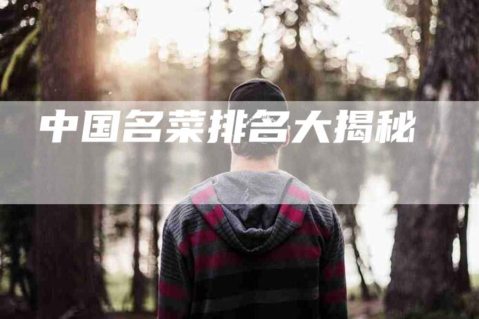 中国名菜排名大揭秘