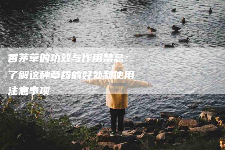 香茅草的功效与作用禁忌：了解这种草药的好处和使用注意事项-住家保姆月嫂服务_家政保洁钟点工家政服务_速上门月嫂网首页