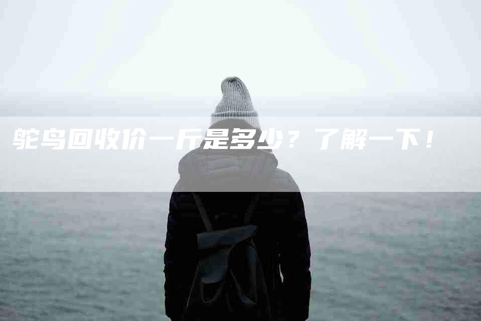 鸵鸟回收价一斤是多少?了解一下!-住家保姆月嫂服务_家政保洁钟点工家政服务_速上门月嫂网首页