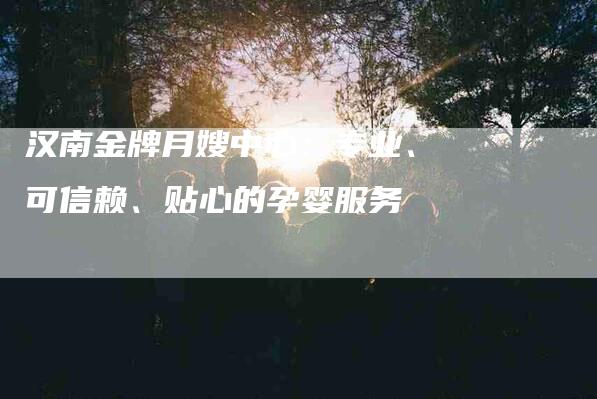 汉南金牌月嫂中心：专业、可信赖、贴心的孕婴服务-住家保姆月嫂服务_家政保洁钟点工家政服务_速上门月嫂网首页